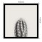 Haze Cactus Succulent Tall by The Creative Bunch Studio Wood Framed Wall Art Print